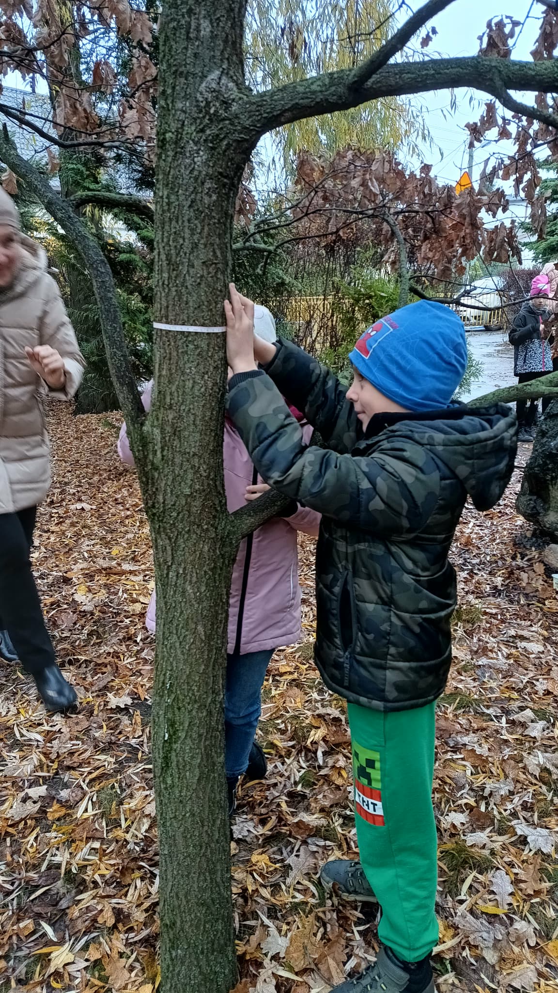 Mierzenie drzewka - Dębu Pamięci