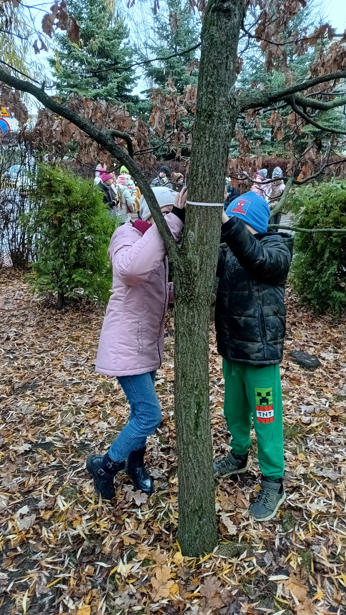 Dzieci mierzą drzewko