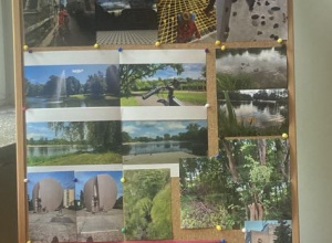 Podsumowanie konkursu fotograficznego