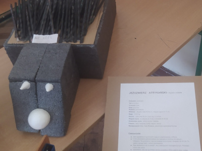 „Zoo matematyczne” – rozstrzygnięcie konkursu