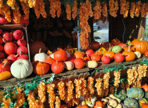 Wycieczka klas 1a i 2a do Dobronianki