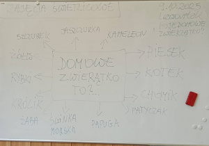 Tablica do zajęć świetlicowych o domowych zwierzętach