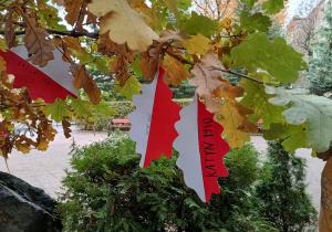Biało-czerwone liście