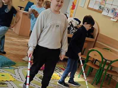 Zajęcia uspołeczniające pt. "Co widzą nasze oczy?"