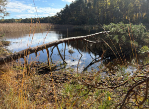 Rajd Siódemkowych Piechurów
