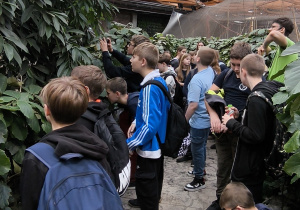 Uczniowie stoją przy nietoperzach