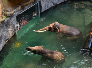 Zwierzęta z bliska - zajęcia w Orientarium