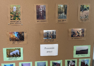 Tablica z pracami forogtaficznymi