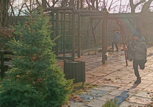 Dzieci bawią się wspólnie na placu zabaw