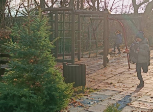 Zimowa zabawa to fajna sprawa