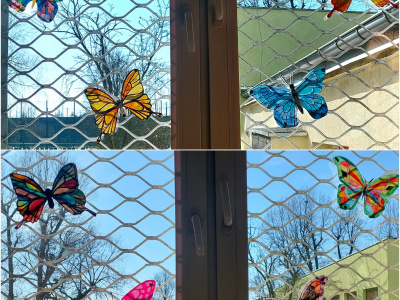 Motylowy zawrót głowy