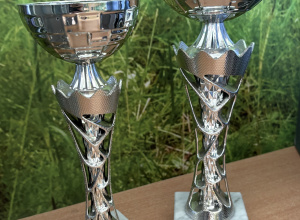 Szkolny Turniej Szachowy