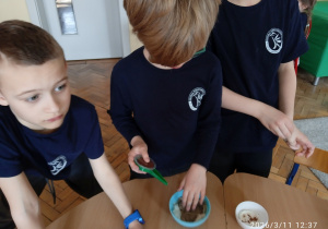 Uczniowie sadzą rzeżuchę