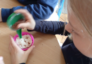 Uczennica sadzi rzeżuchę