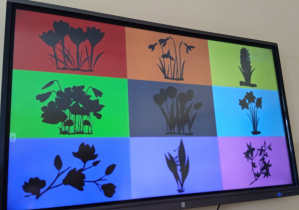 Tablica z cieniami kwiatów wiosennych