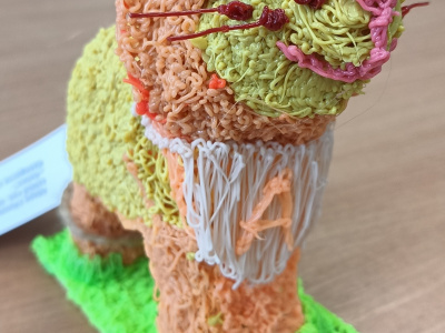 Wyróżnienie w Ogólnopolskim Konkursie Plastycznym „Opowieści z Narnii”