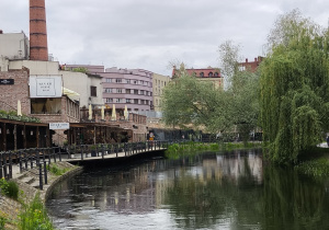 Rzeka Brda