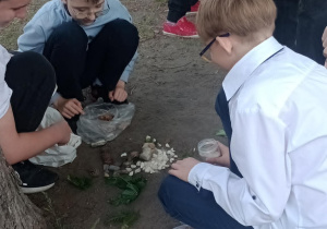 Uczniowie pracują