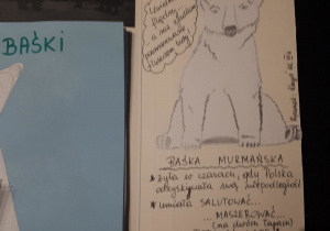 Prace uczniów n.t. Baśki Murmańskiej ujęte w formie lapbooka.