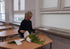 dziewczynka w czasie rozpoznawania gatunków drzew