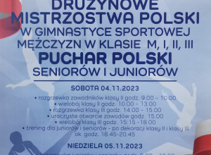 Drużynowe Mistrzostwa Polski